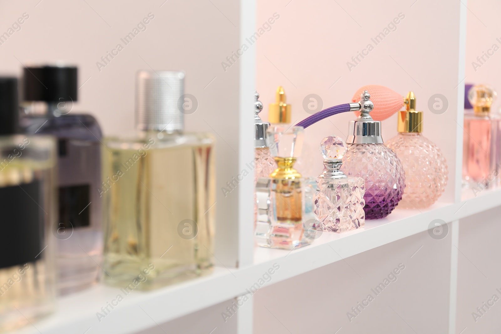 Photo of Different bottles of luxury perfume on shelf in store, closeup