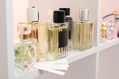 Photo of Different bottles of luxury perfume and fragrance blotters on shelf in store, closeup