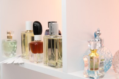 Photo of Different bottles of luxury perfume and fragrance blotters on shelf in store, closeup