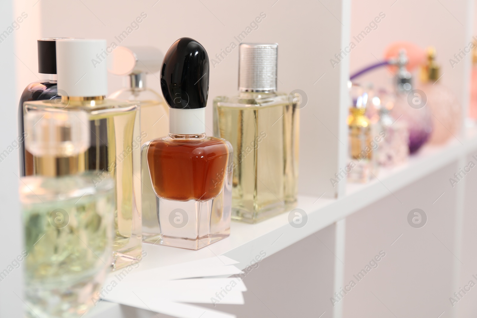 Photo of Different bottles of luxury perfume and fragrance blotters on shelf in store, closeup