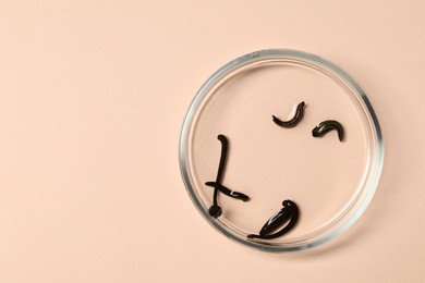 Photo of Medicinal leeches in Petri dish on light pink background, top view. Space for text