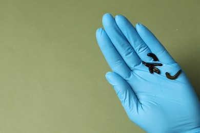 Photo of Doctor holding medicinal leeches on olive background, top view. Space for text