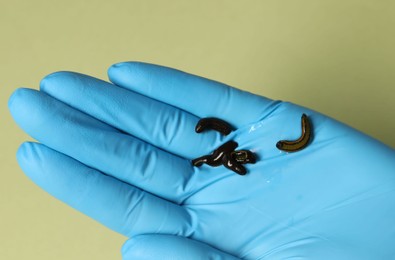 Photo of Doctor holding medicinal leeches on olive background, top view