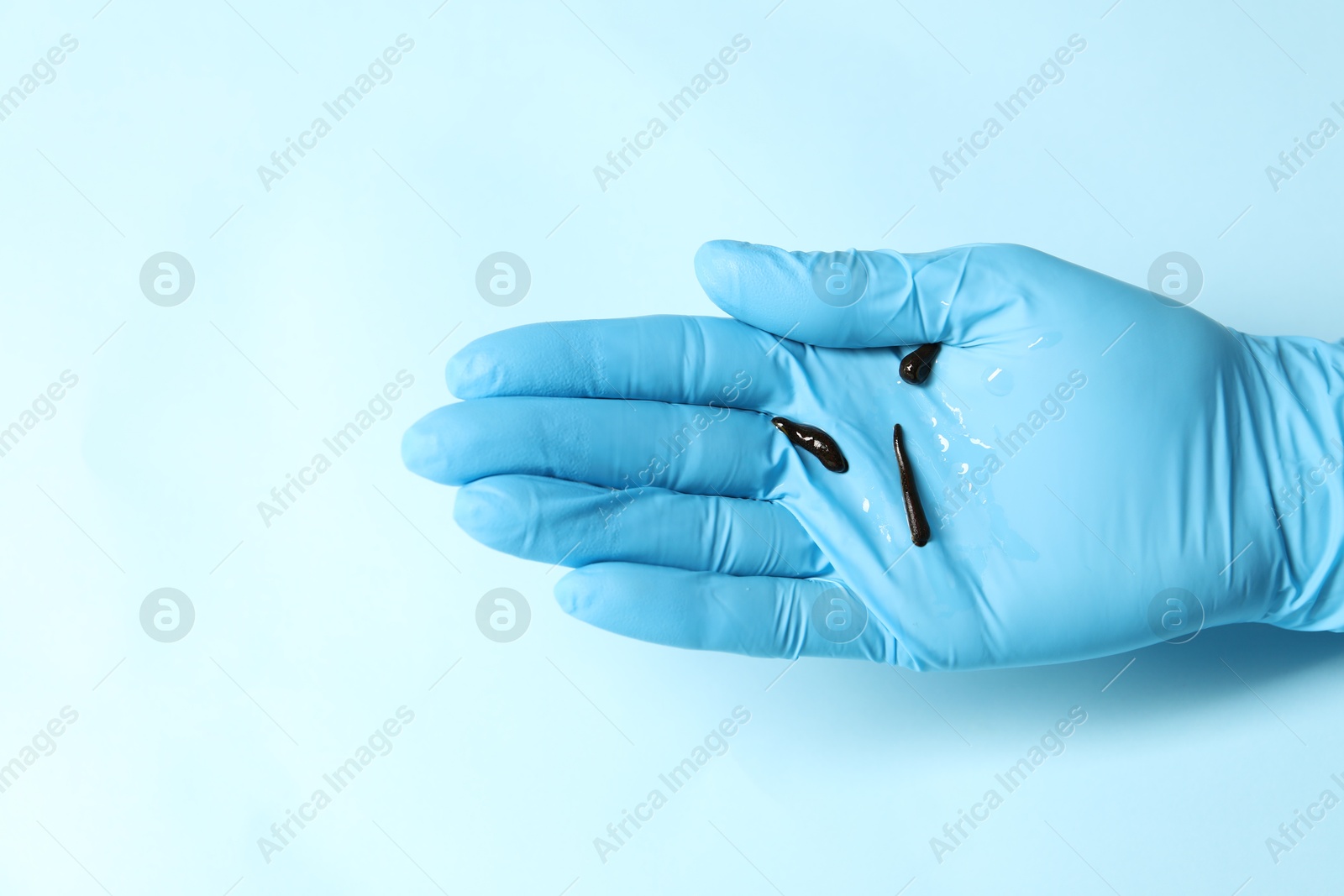 Photo of Doctor holding medicinal leeches on light blue background, top view. Space for text