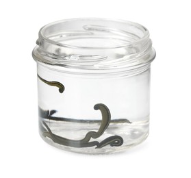 Photo of Medicinal leeches in glass jar isolated on white