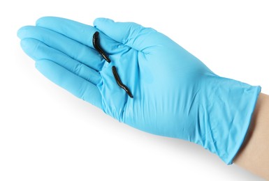 Photo of Doctor holding medicinal leeches on white background, top view