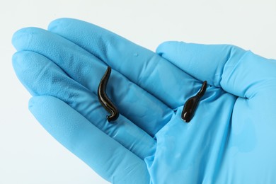 Photo of Doctor holding medicinal leeches on white background, closeup