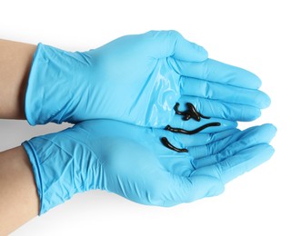 Photo of Doctor holding medicinal leeches on white background, top view