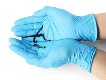 Photo of Doctor holding medicinal leeches on white background, top view