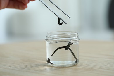 Photo of Woman taking leech from jar with tweezers on wooden table, closeup