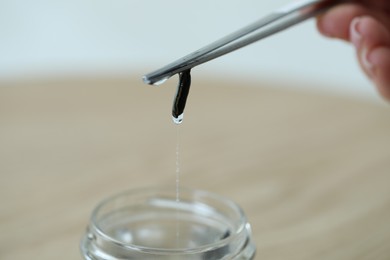 Photo of Woman taking medicinal leech from jar with tweezers on table, closeup