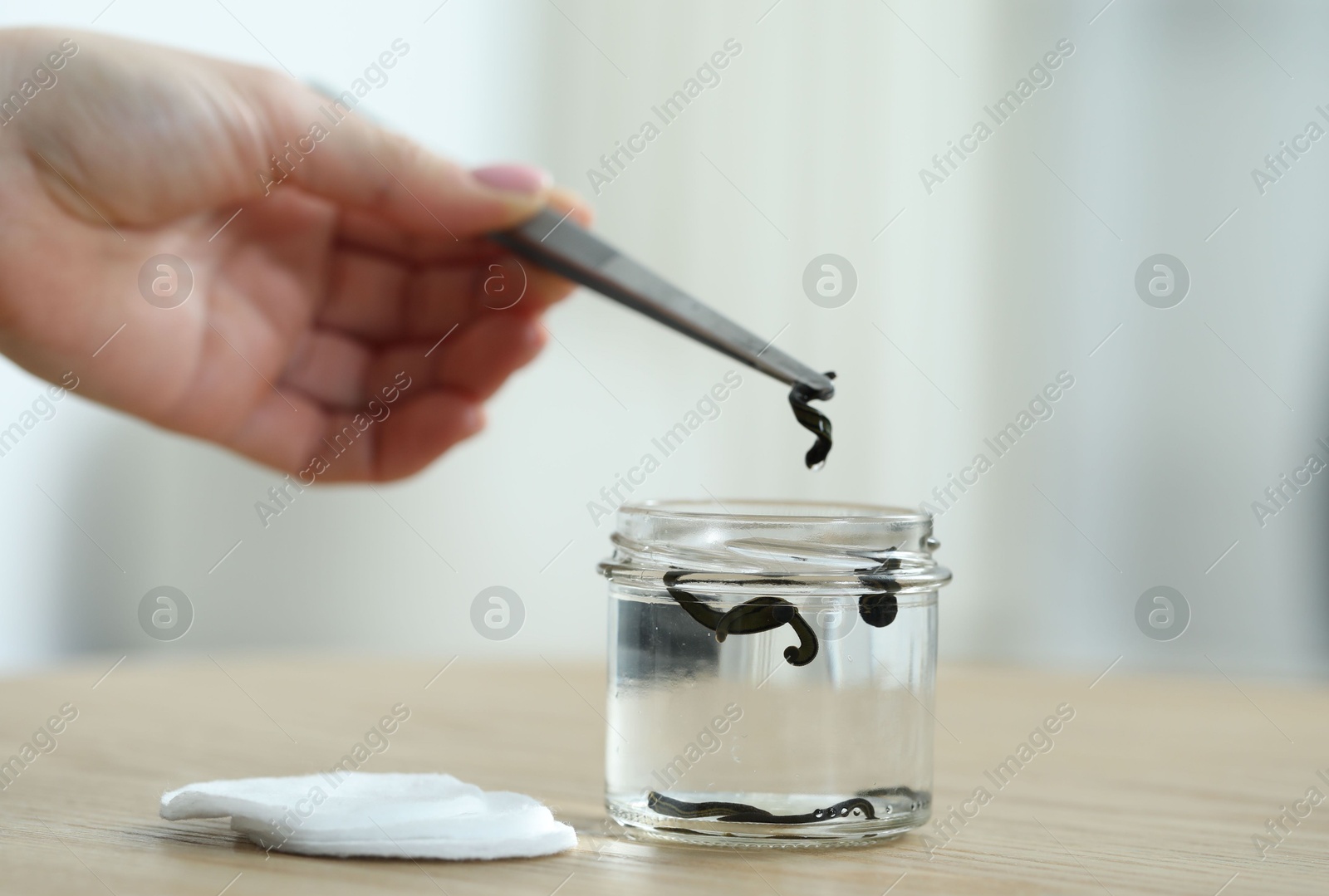 Photo of Woman taking leech from jar with tweezers on wooden table, closeup