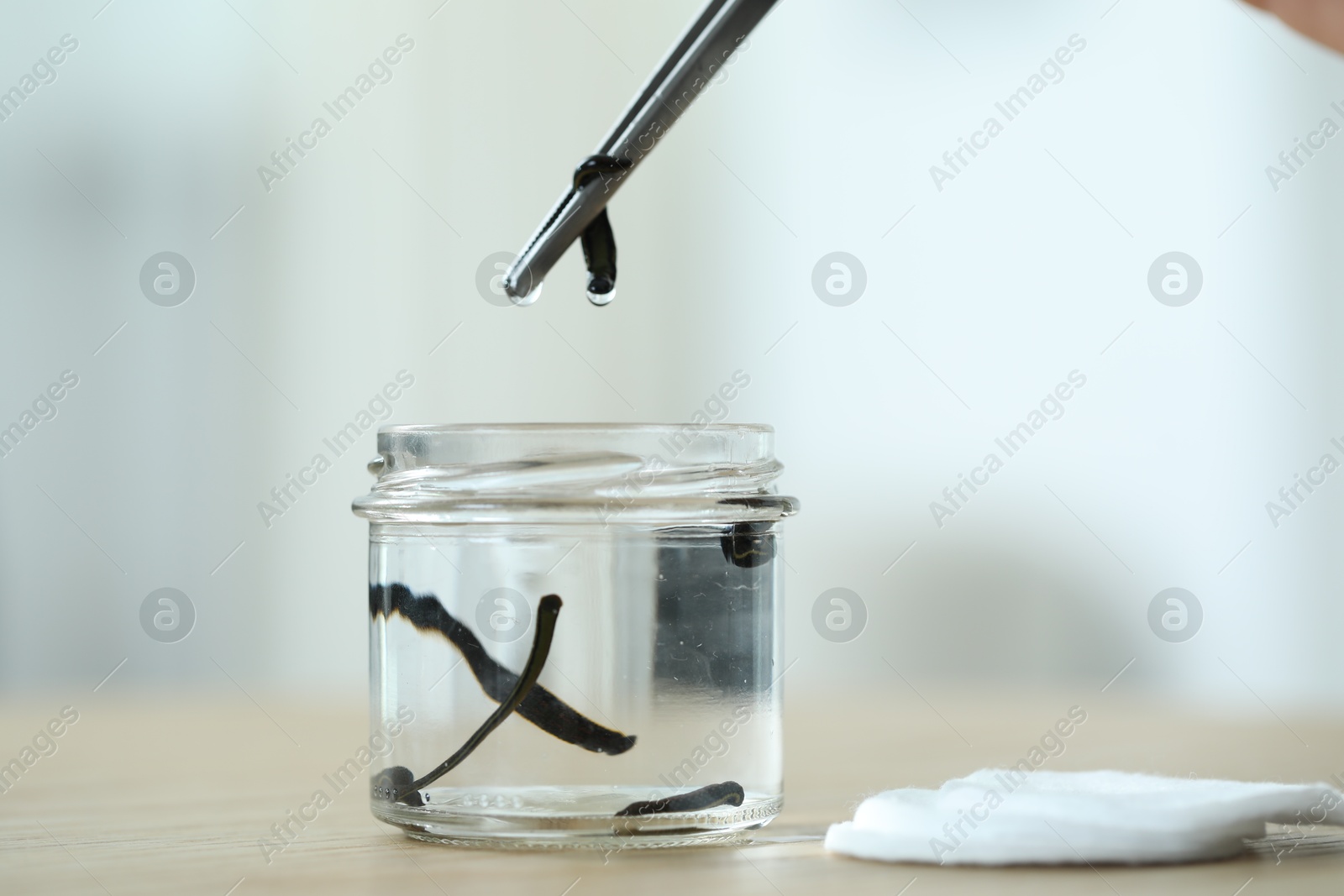 Photo of Taking medicinal leech from jar with tweezers on wooden table, closeup