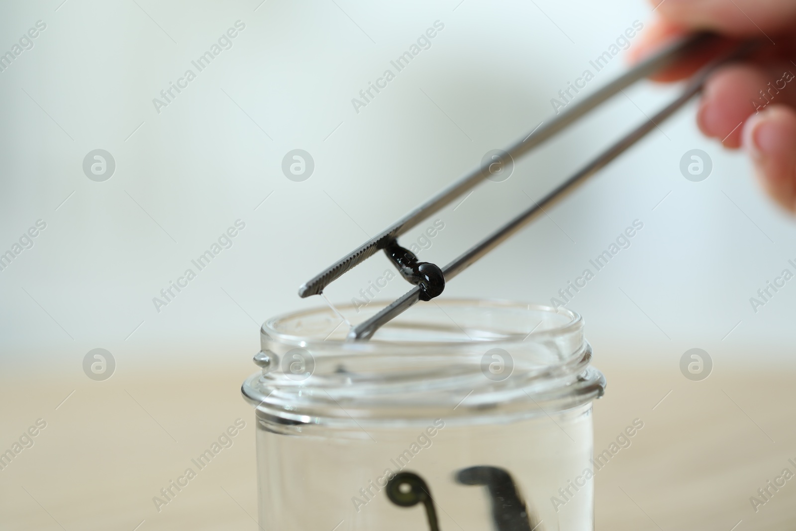 Photo of Woman taking medicinal leech from jar with tweezers on table, closeup