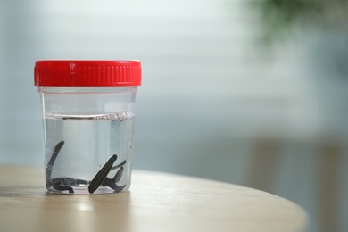 Photo of Medicinal leeches in plastic jar on wooden table, closeup. Space for text