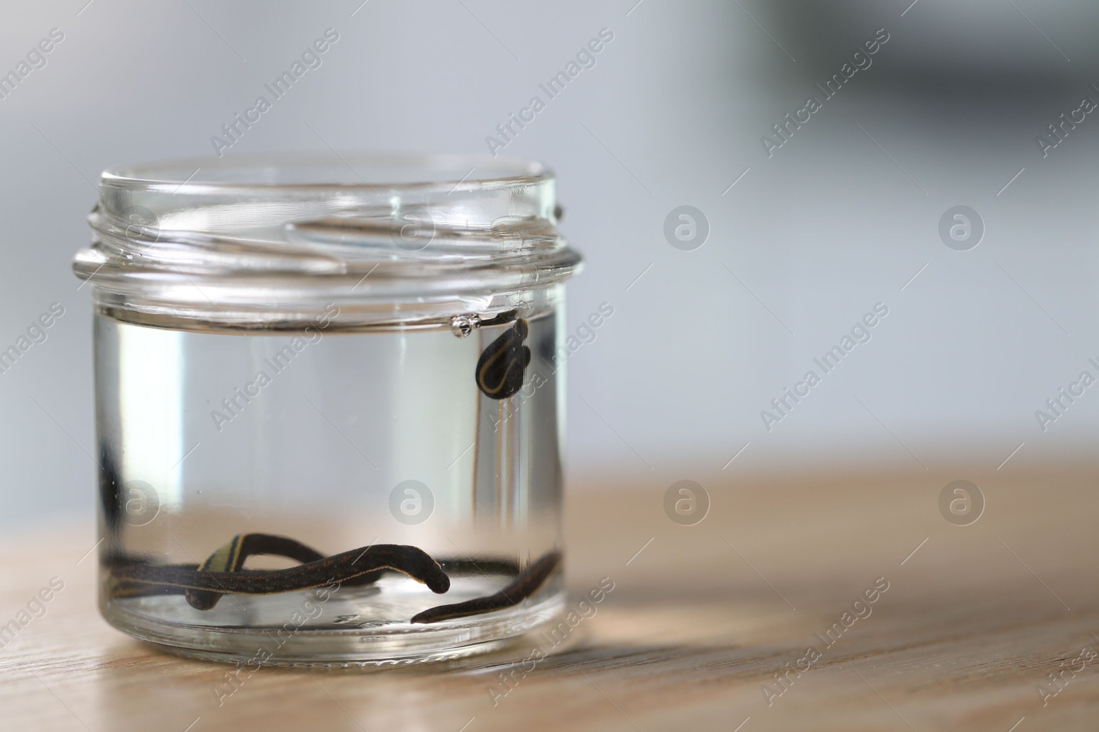 Photo of Medicinal leeches in glass jar on wooden table, closeup. Space for text