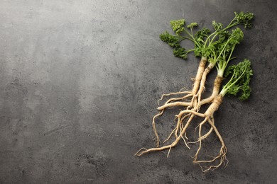 Photo of Parsley roots with leaves on black table, top view. Space for text