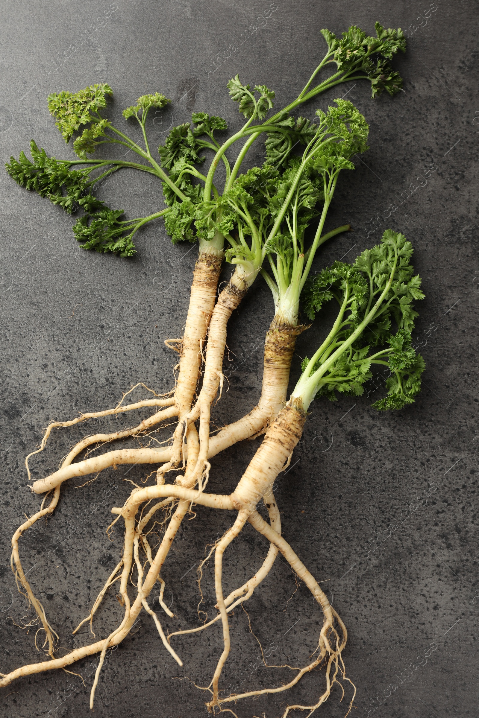 Photo of Parsley roots with leaves on black table, top view