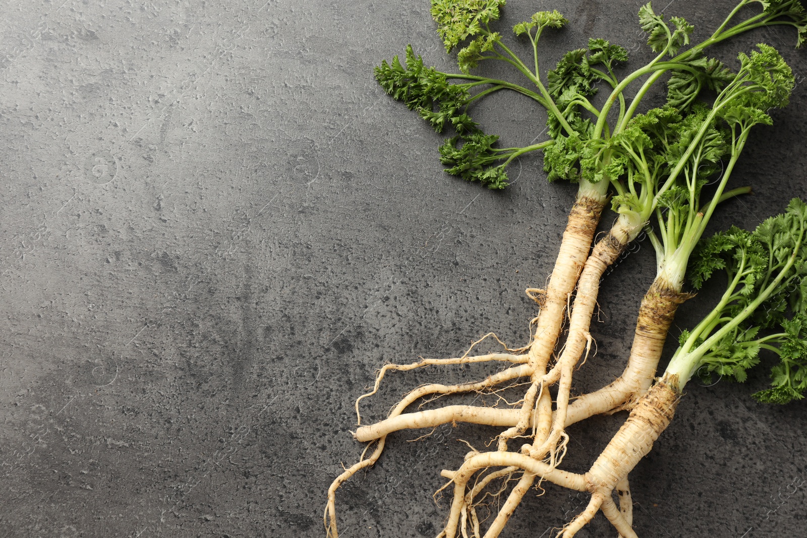 Photo of Parsley roots with leaves on black table, top view. Space for text