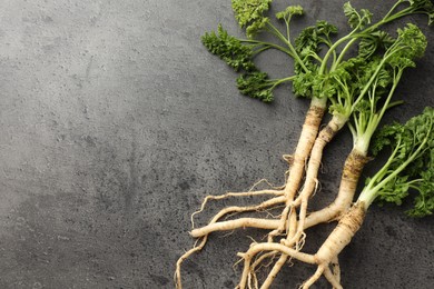 Photo of Parsley roots with leaves on black table, top view. Space for text