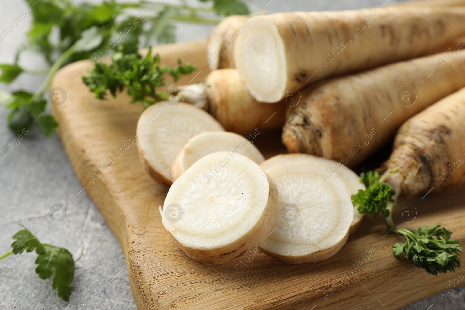 Photo of Parsley roots and leaves on grey table, closeup