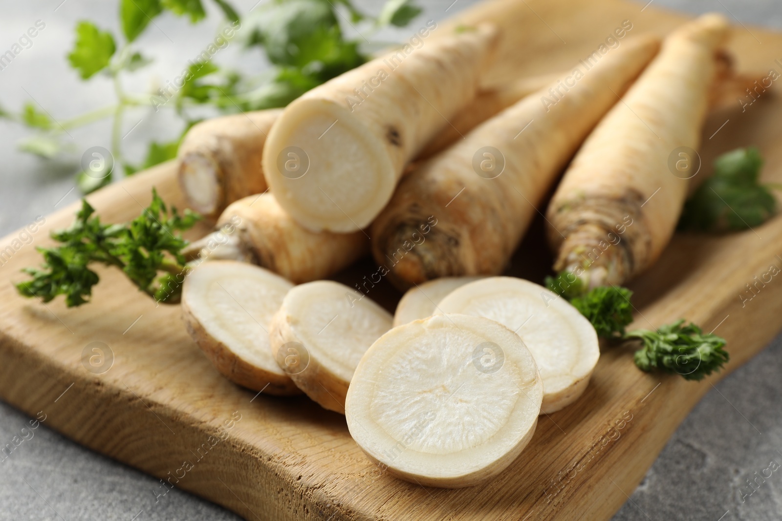 Photo of Parsley roots and leaves on grey table, closeup