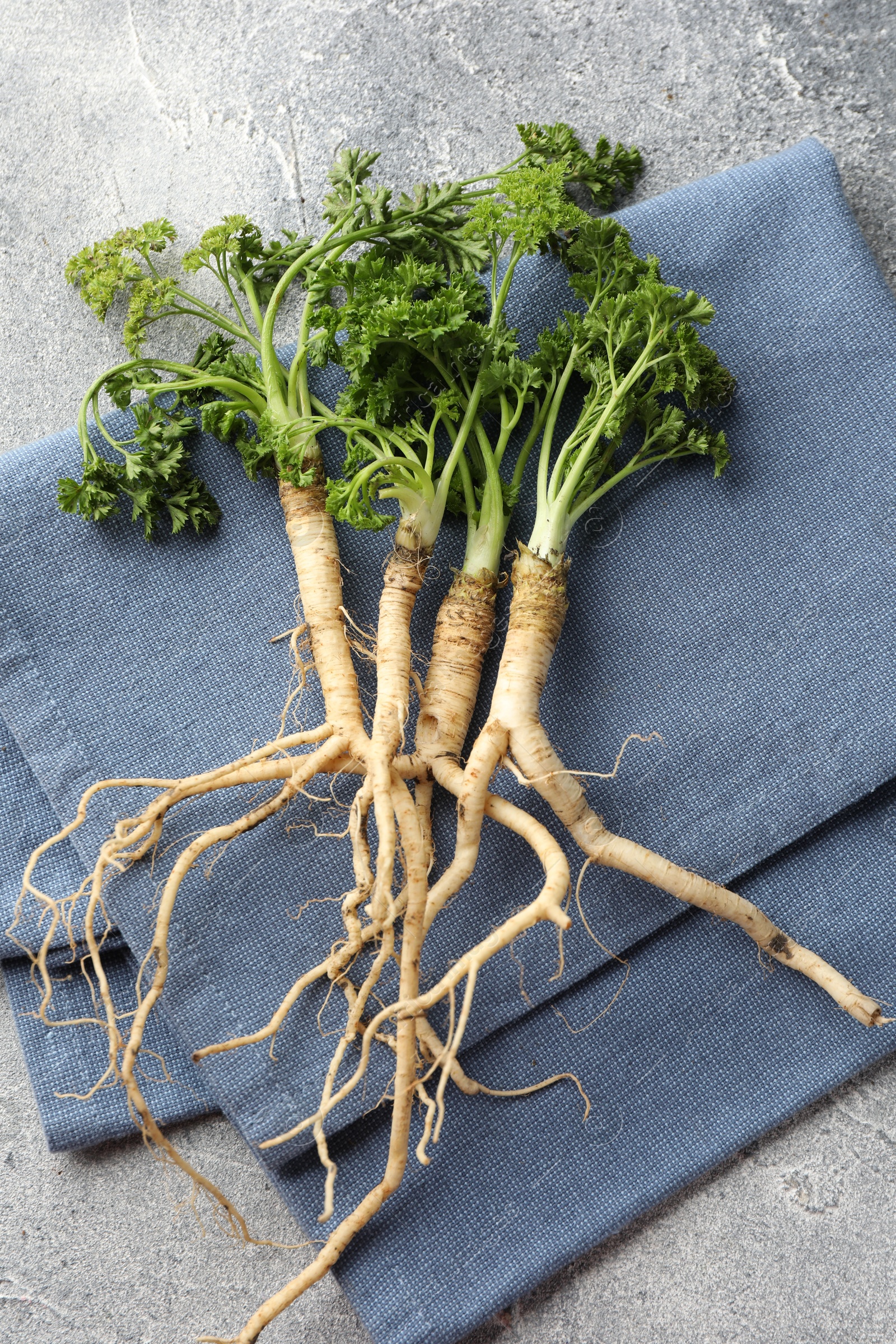 Photo of Parsley roots with leaves on grey table, top view