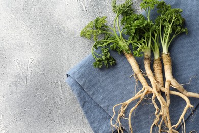 Photo of Parsley roots with leaves on grey table, top view. Space for text