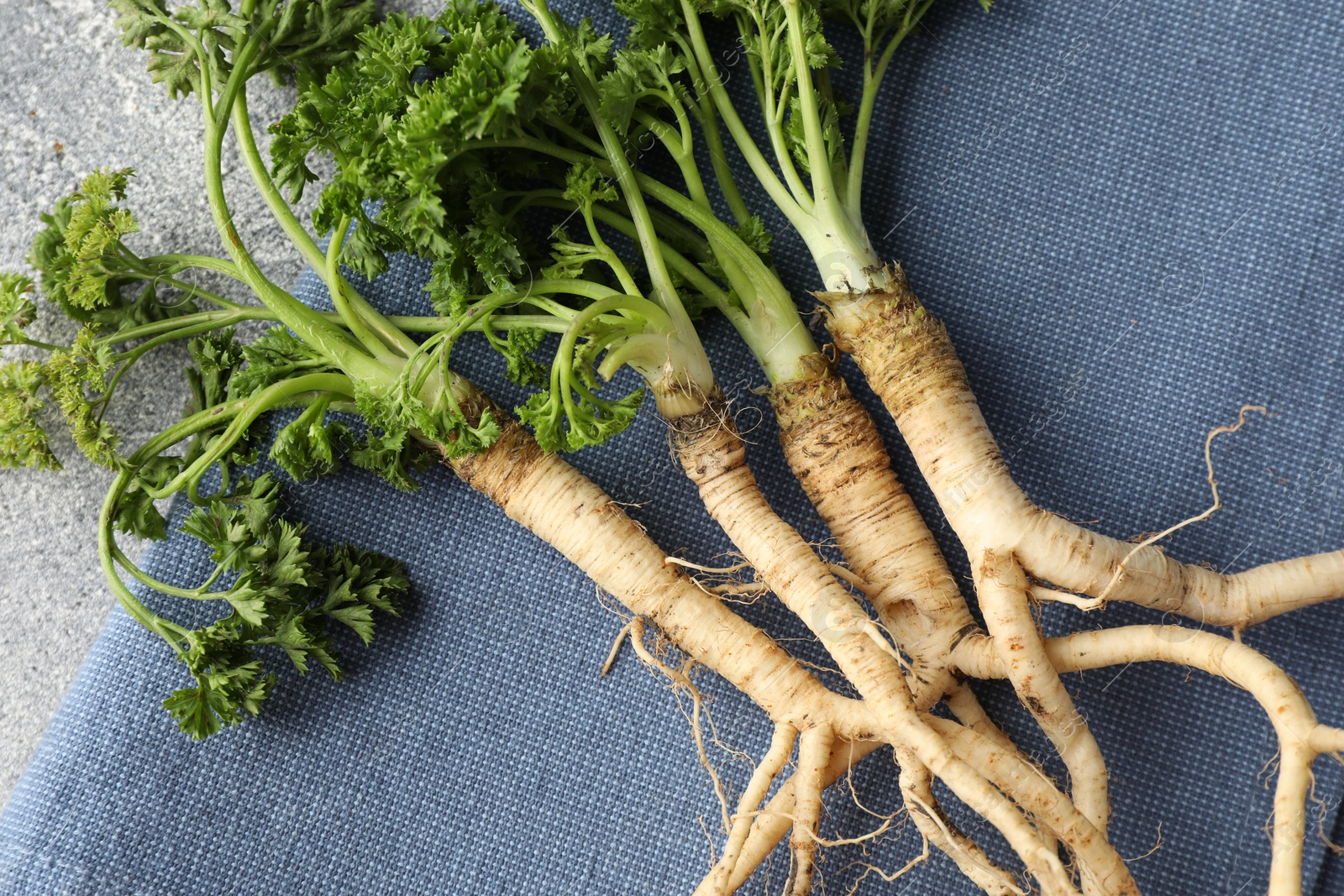 Photo of Parsley roots with leaves on grey table, top view