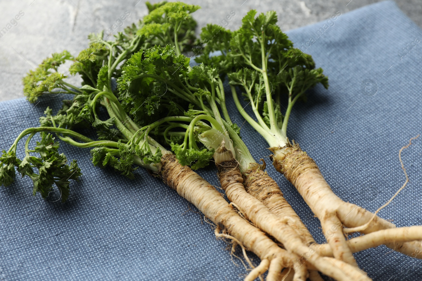 Photo of Parsley roots with leaves on grey table, closeup