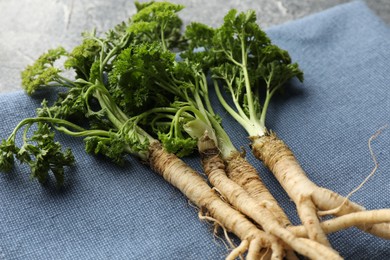 Photo of Parsley roots with leaves on grey table, closeup