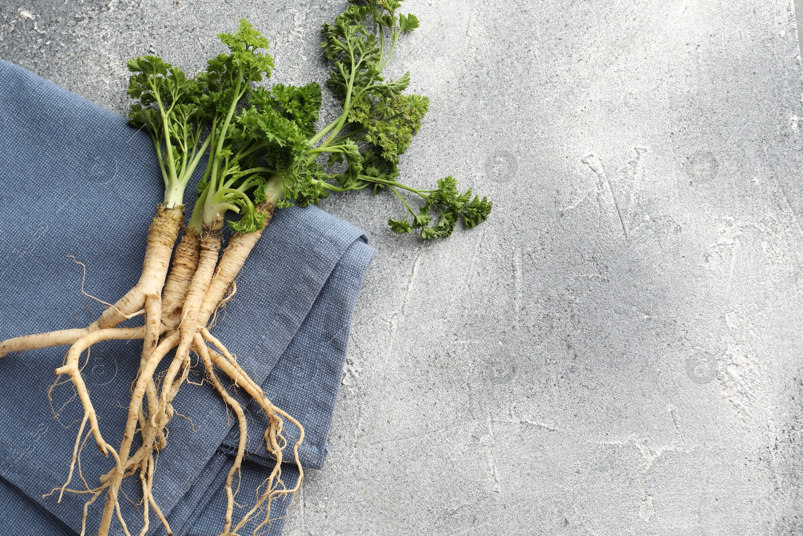 Photo of Parsley roots with leaves on grey table, top view. Space for text