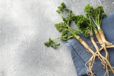 Photo of Parsley roots with leaves on grey table, top view. Space for text