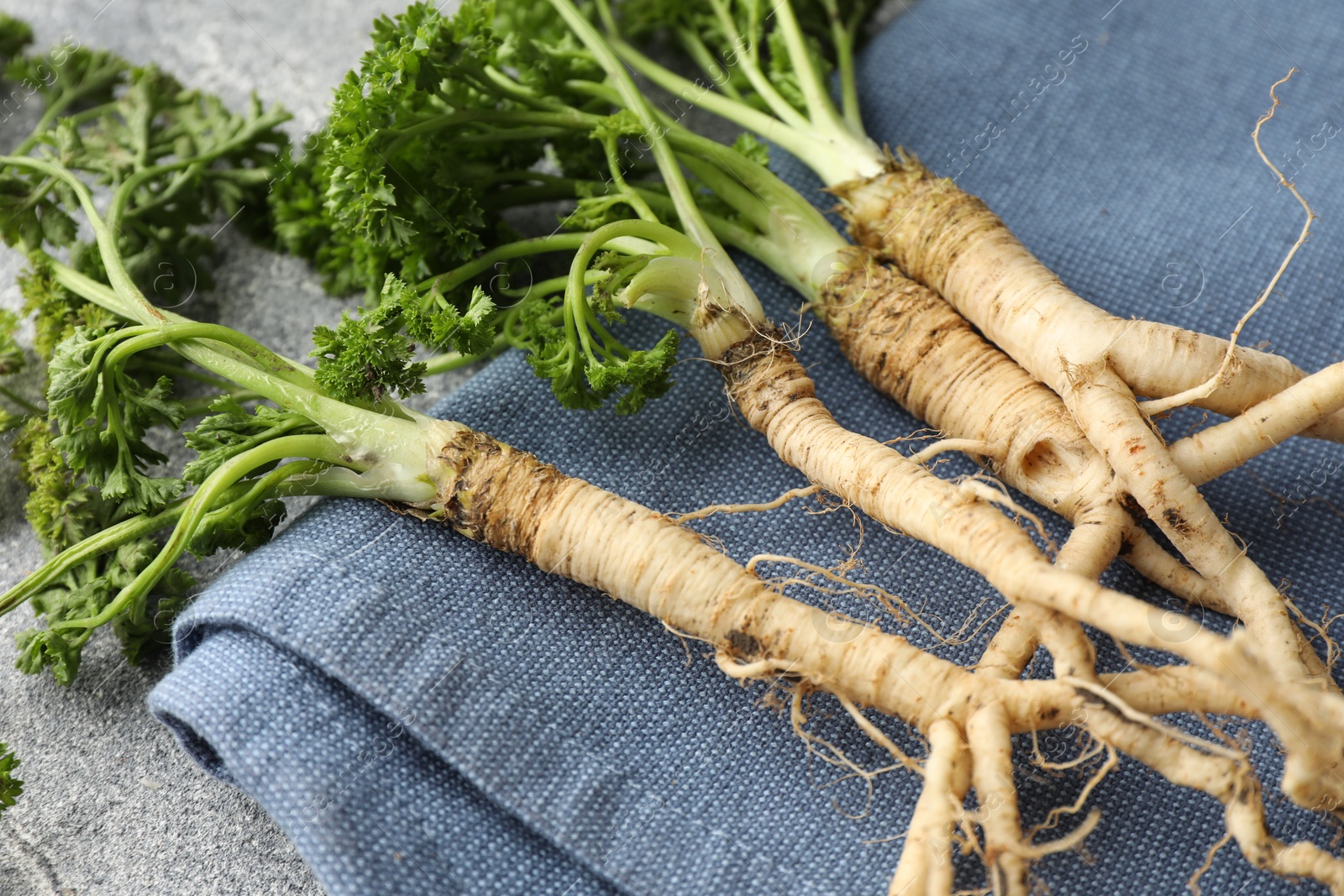 Photo of Parsley roots with leaves on grey table, closeup