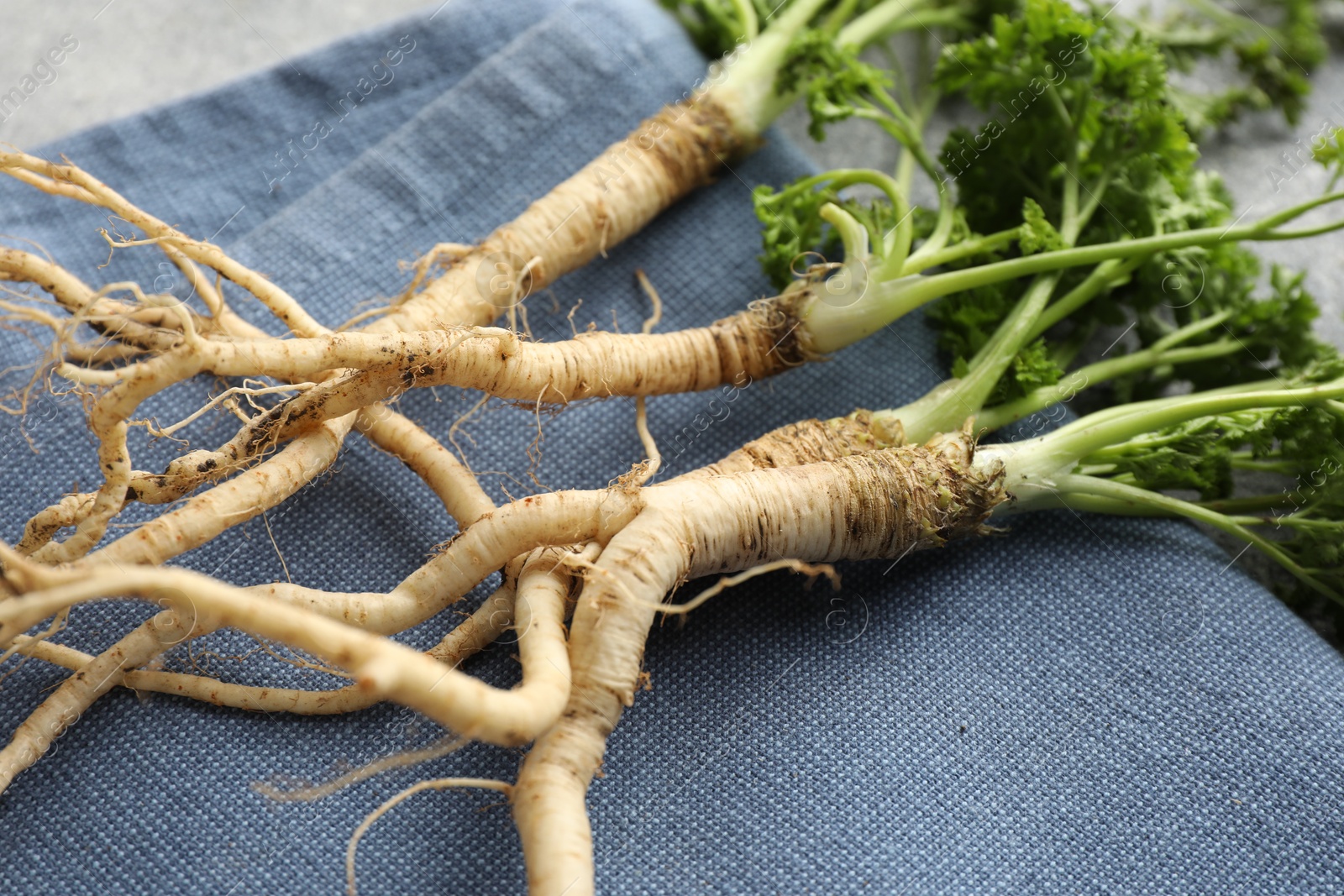 Photo of Parsley roots with leaves on grey table, closeup