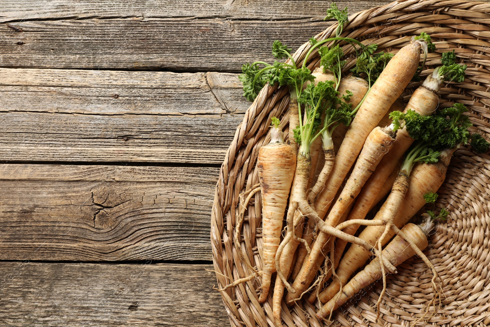 Photo of Raw parsley roots with leaves on wooden table, top view. Space for text