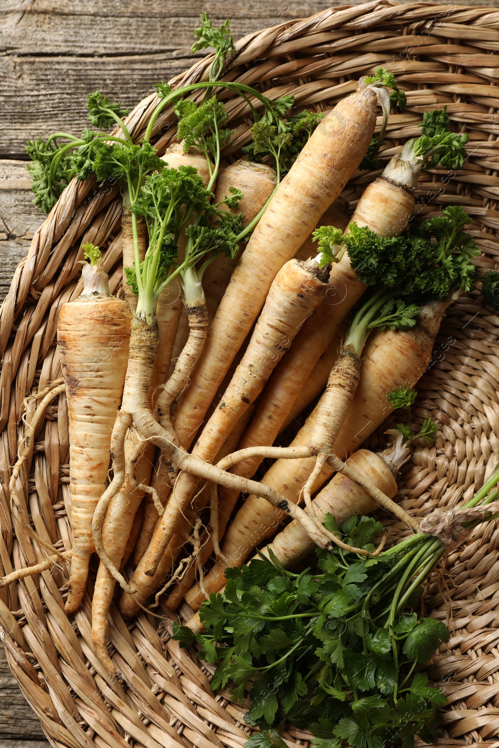 Photo of Raw parsley roots with leaves on wooden table, top view