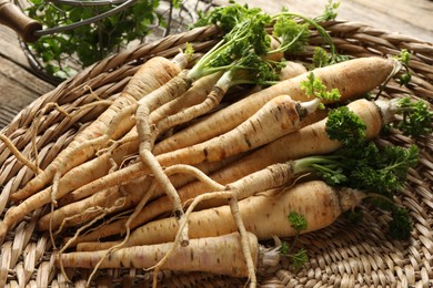 Photo of Raw parsley roots with leaves on table, closeup