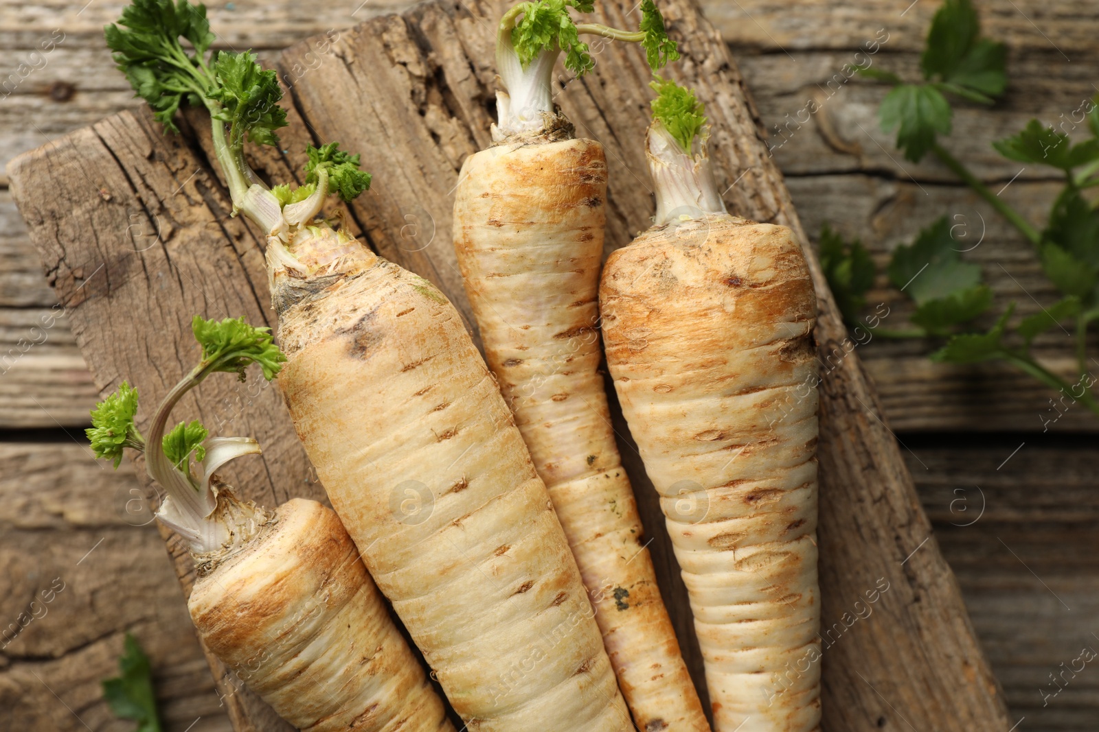 Photo of Raw parsley roots with leaves on wooden table, top view