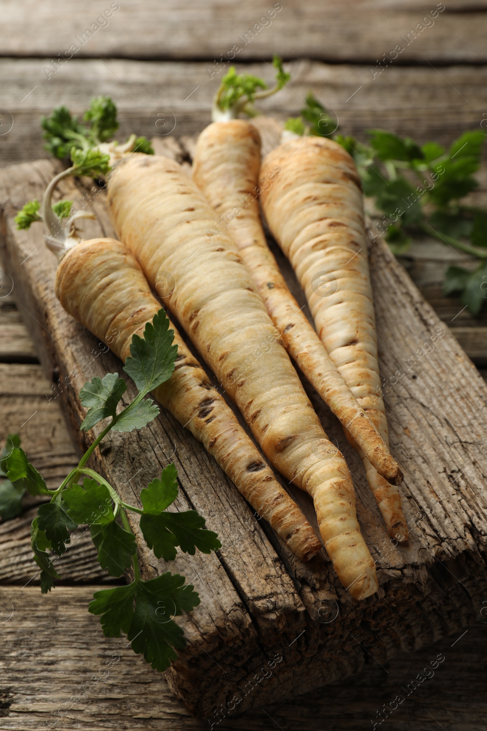 Photo of Raw parsley roots with leaves on wooden table, closeup