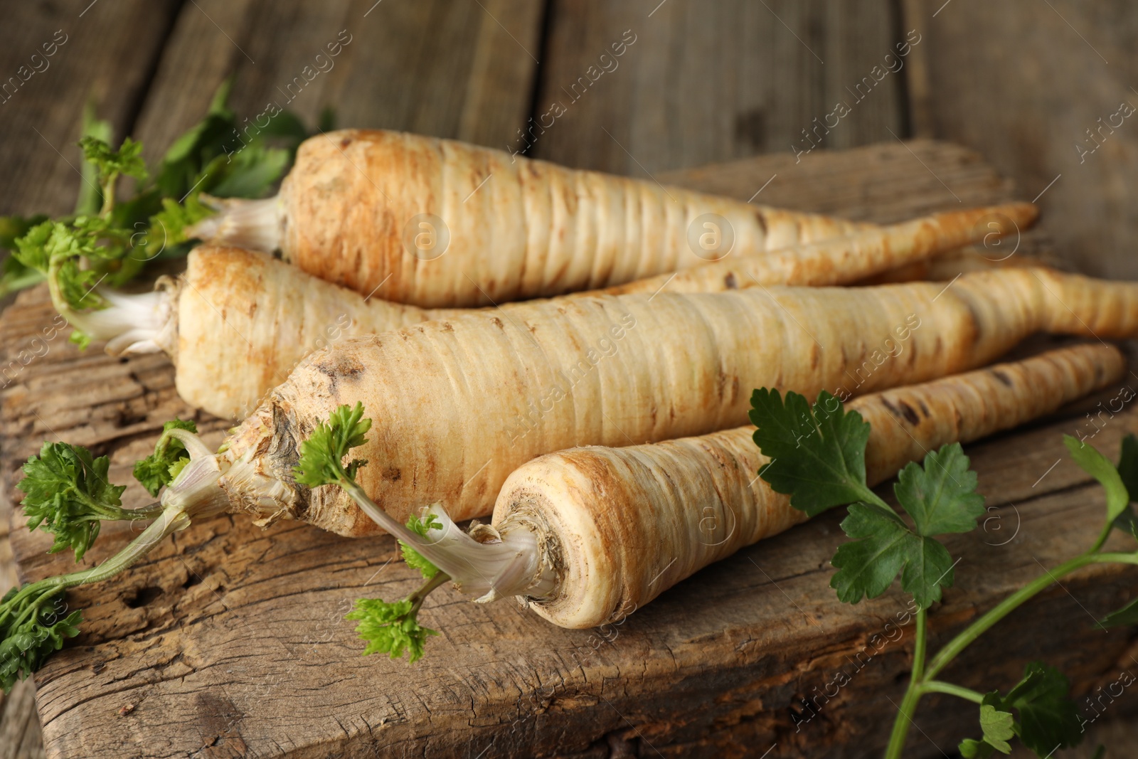 Photo of Raw parsley roots with leaves on wooden table, closeup