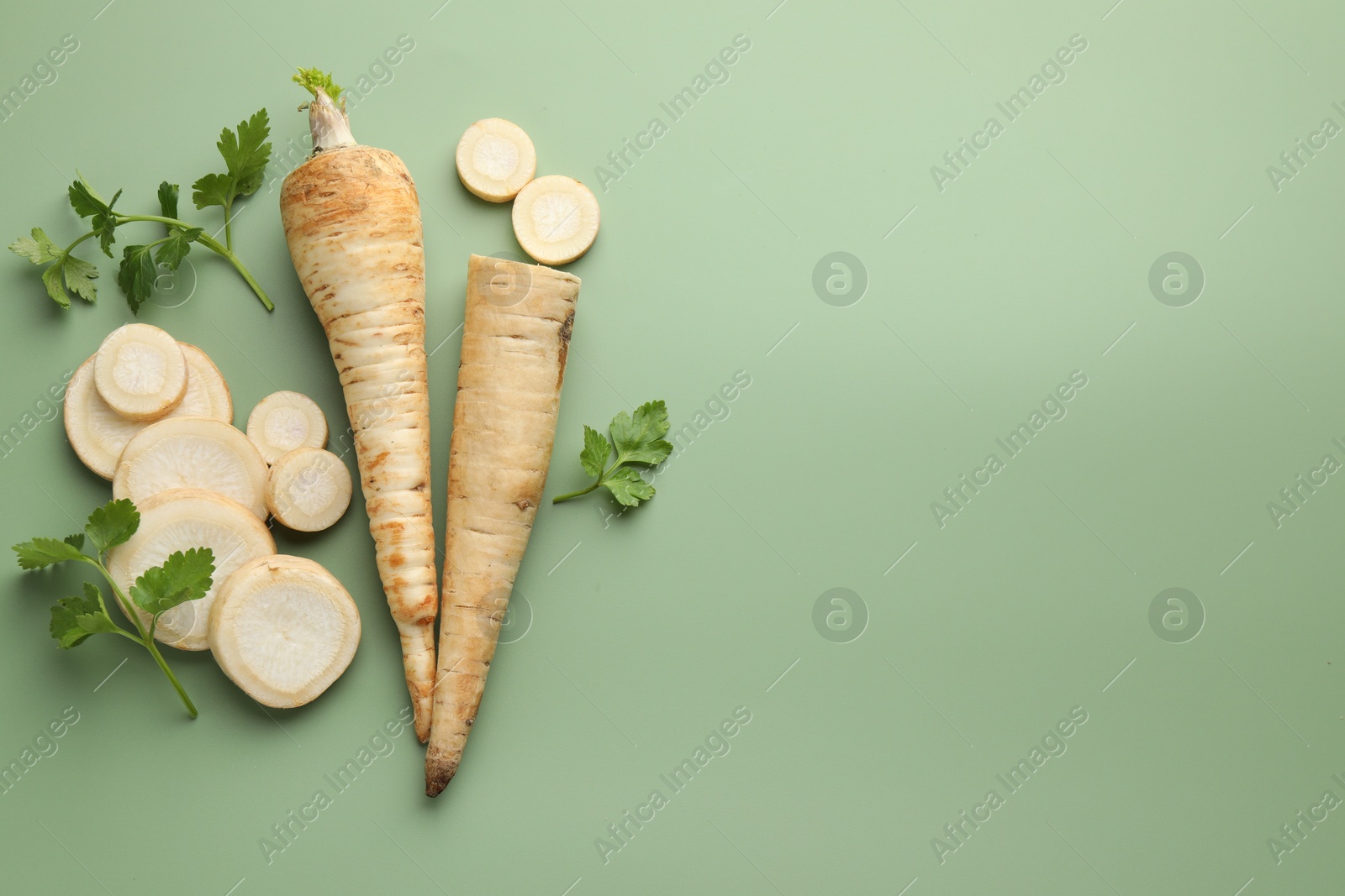 Photo of Parsley roots and leaves on green background, flat lay. Space for text