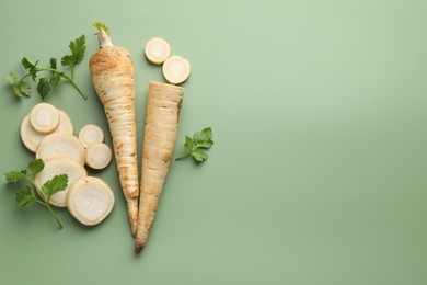 Photo of Parsley roots and leaves on green background, flat lay. Space for text