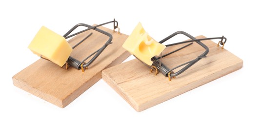 Photo of Two spring-loaded bar mousetraps with pieces of cheese isolated on white