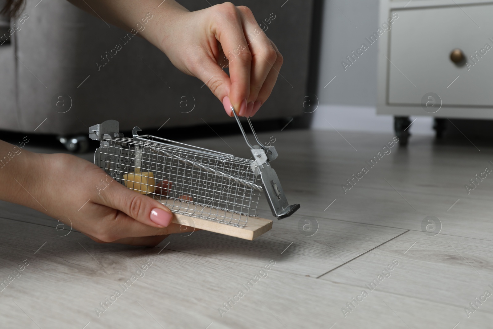 Photo of Woman with metal mouse trap indoors, closeup