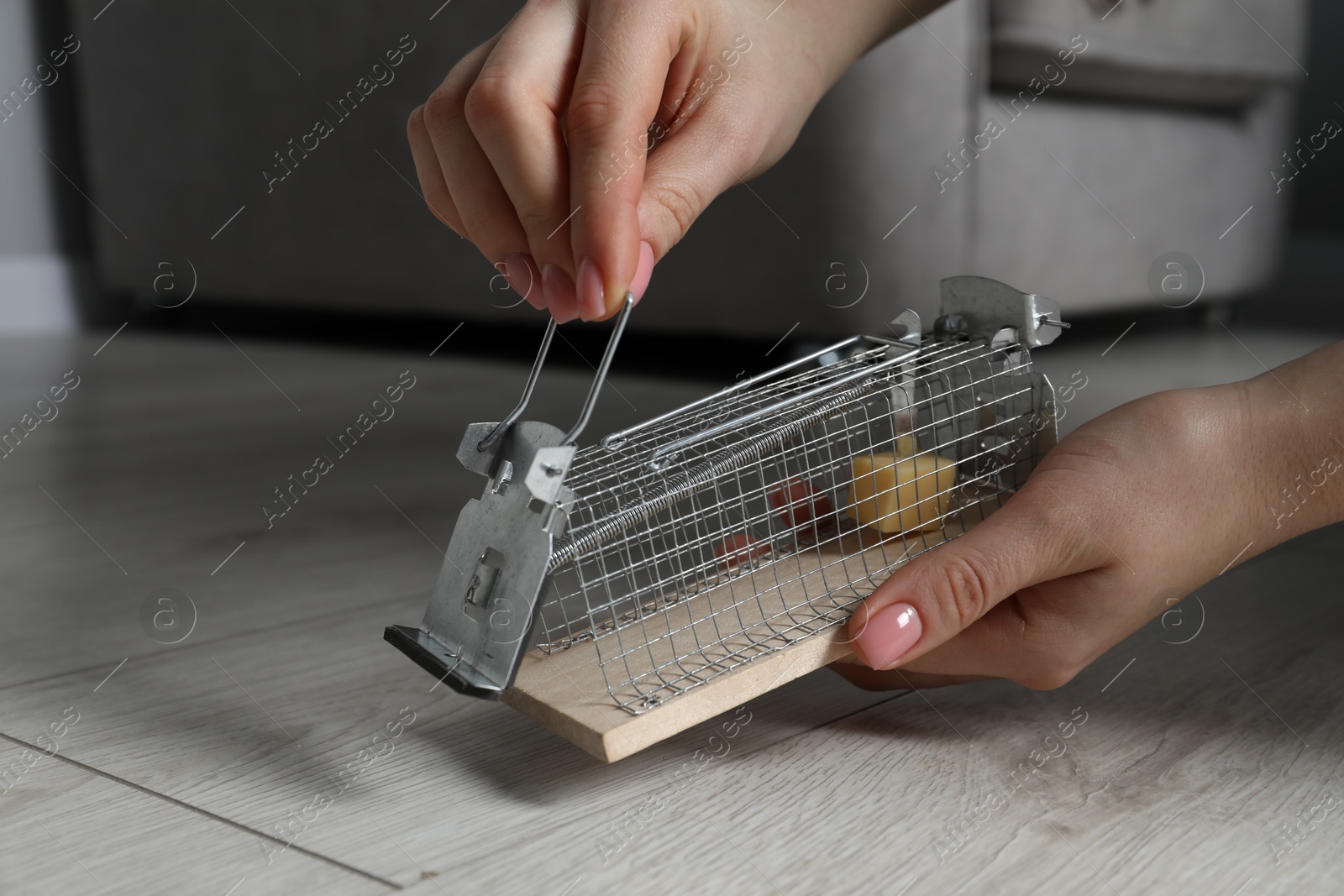 Photo of Woman with metal mouse trap indoors, closeup