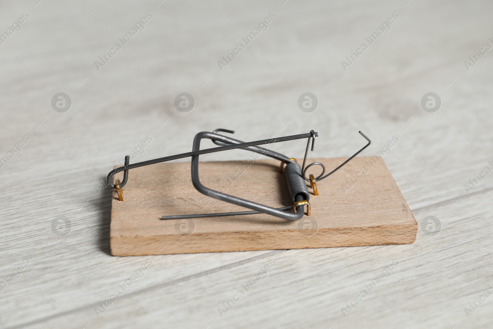 Photo of One empty spring-loaded bar mousetrap on floor