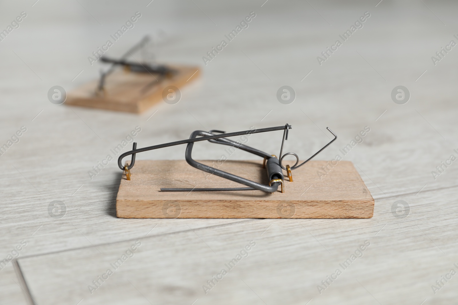 Photo of Two spring-loaded bar mousetraps on floor, selective focus