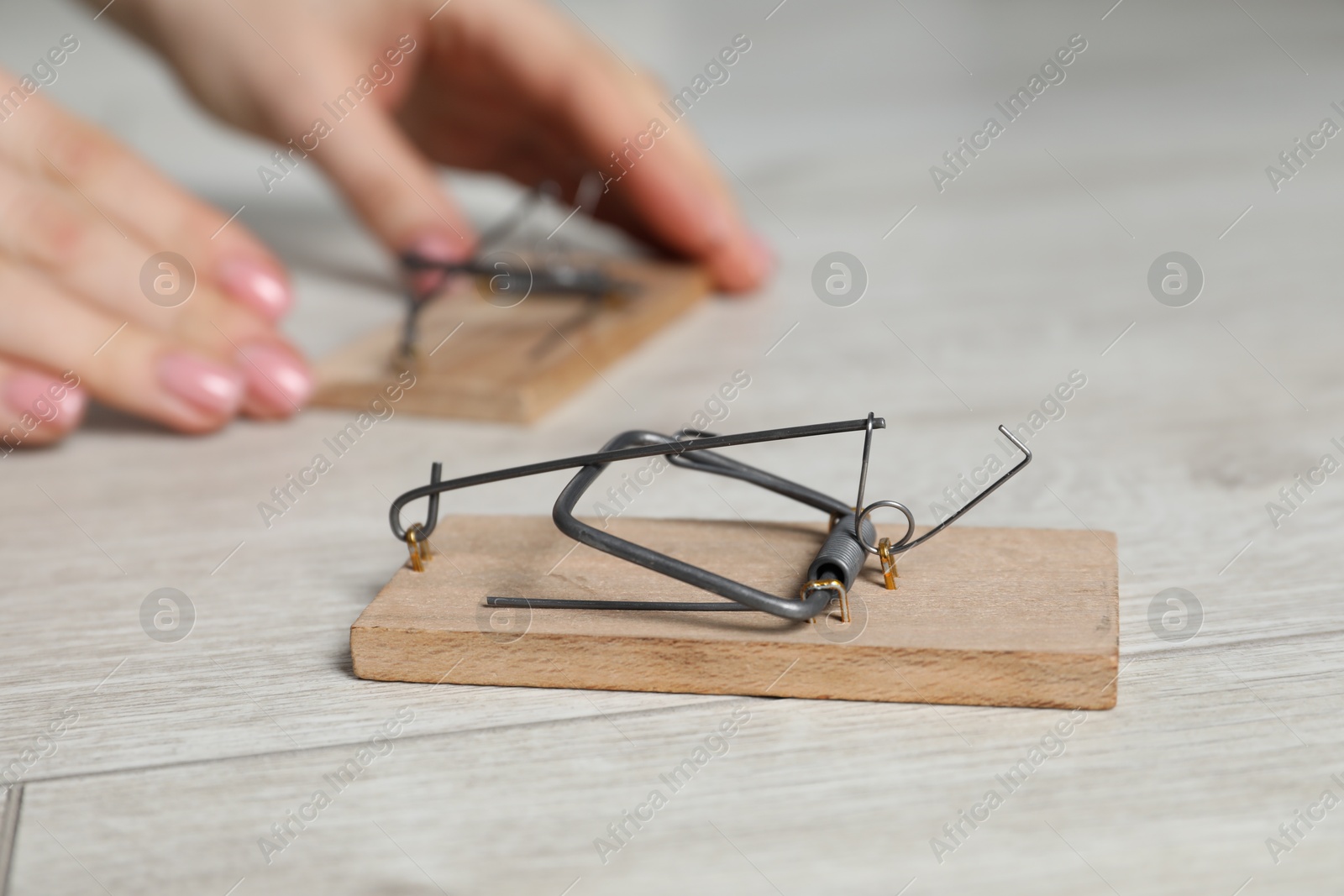 Photo of Woman with spring-loaded bar mousetrap indoors, closeup