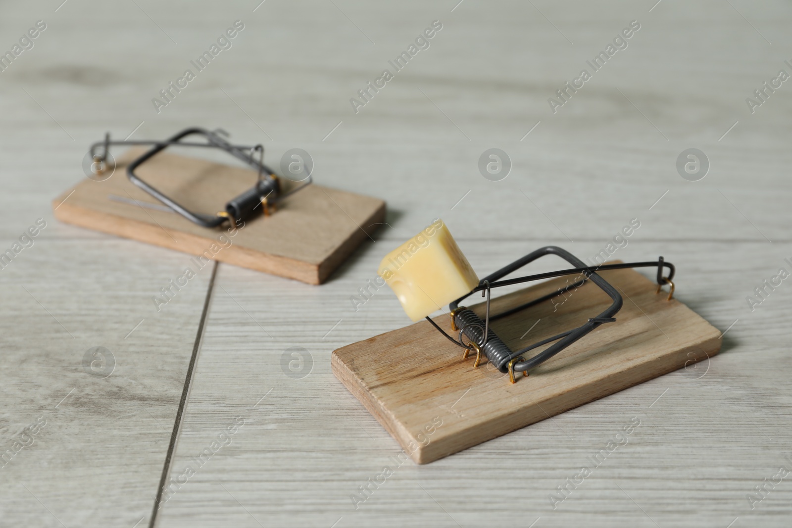 Photo of Spring-loaded bar mousetraps with piece of cheese on floor, closeup